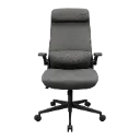 Cougar Chair Stryder Gray